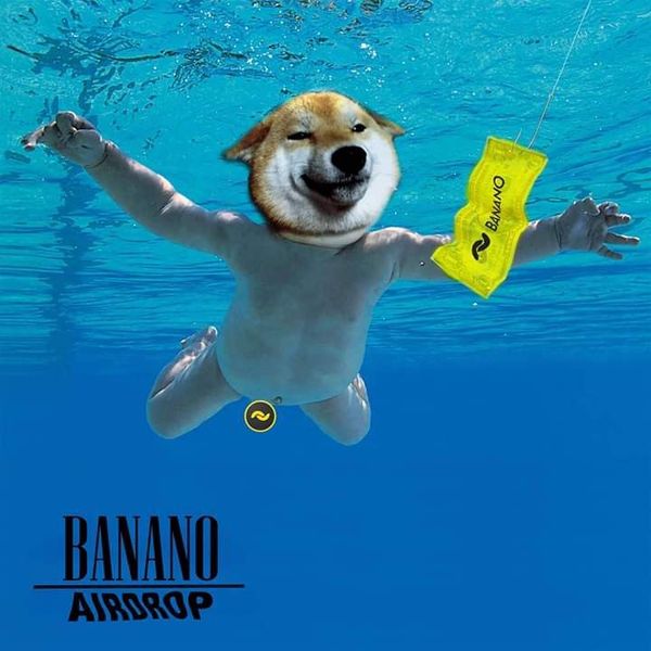 It’s happening! The BANANO Airdrop to Dogecoin Holder was just sent out!