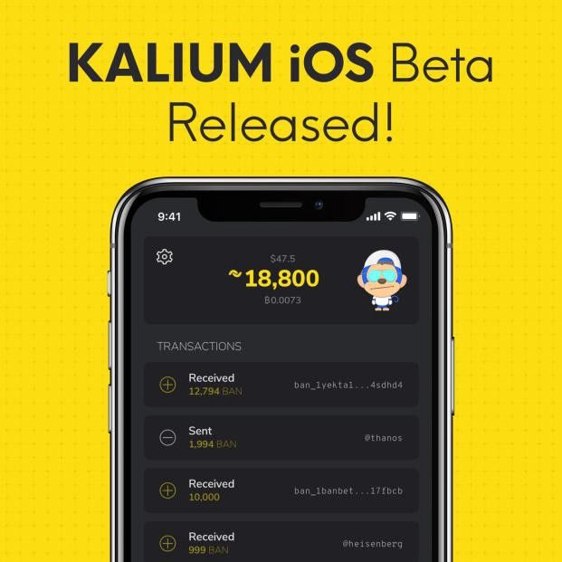 Kalium iOS Beta released, TestFlight invitations being sent out now!